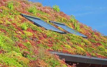 Stalling Busk living roof systems